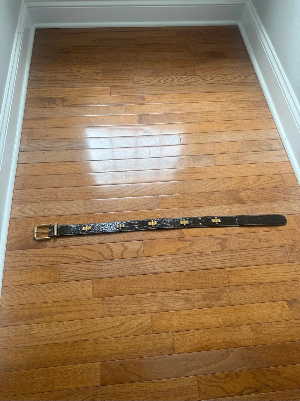 Vintage Escada Medallion Belt — Black Leather Womens Belt with Gold Buckle/studs